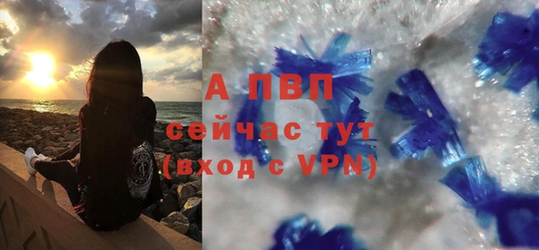 стаф Вязники