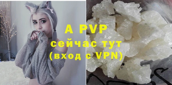 стаф Вязники